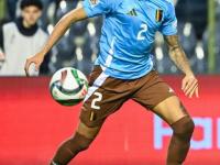 九游娱乐-德罗巴新星高光表现表现惊艳，瑞士队未来可期！的简单介绍