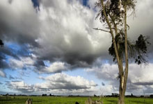 九游体育-C罗焦点对战，浓眉哥与40激战澳大利亚队分钟，败北胜负难料！再创辉煌时刻的简单介绍